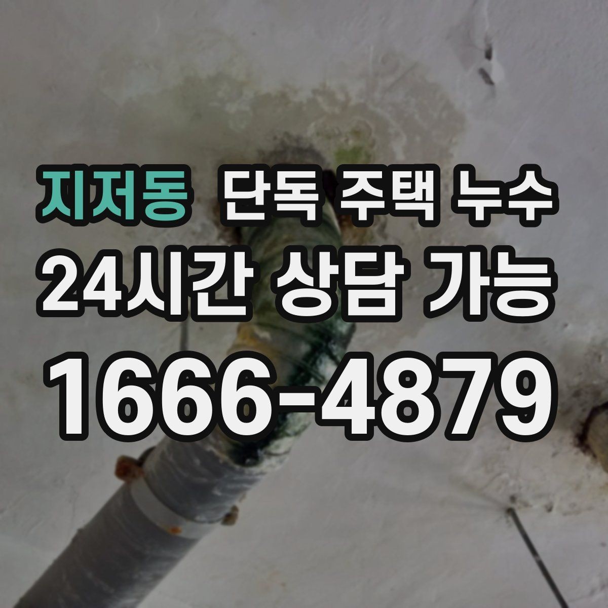 지저동 단독 주택 누수 도배 새로 했는데 다시 얼룩이 생기는 이유
