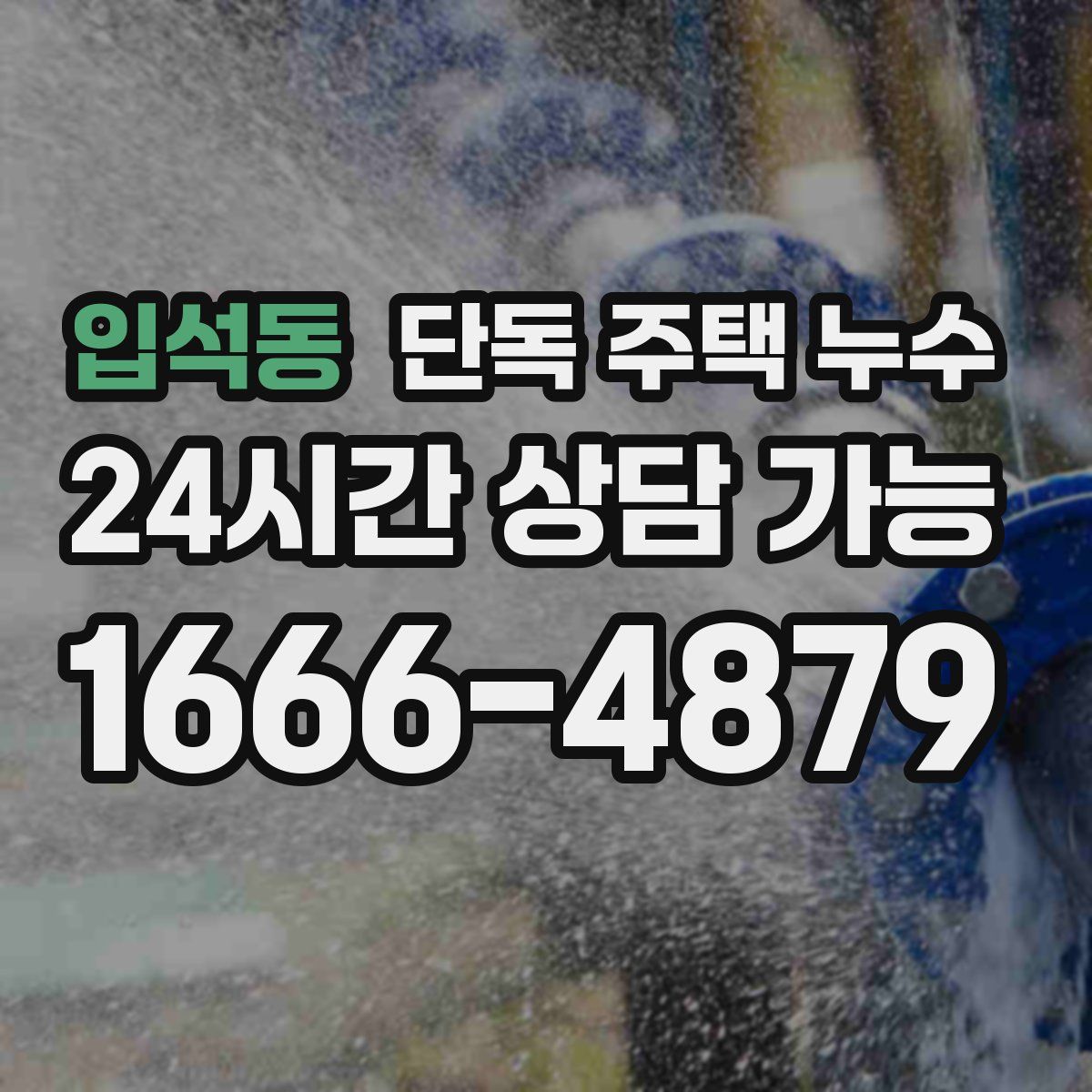 입석동 단독 주택 누수