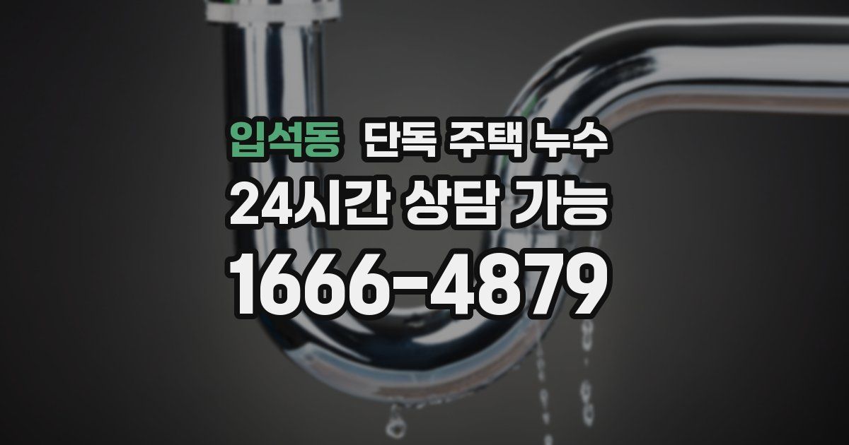 입석동 단독 주택 누수