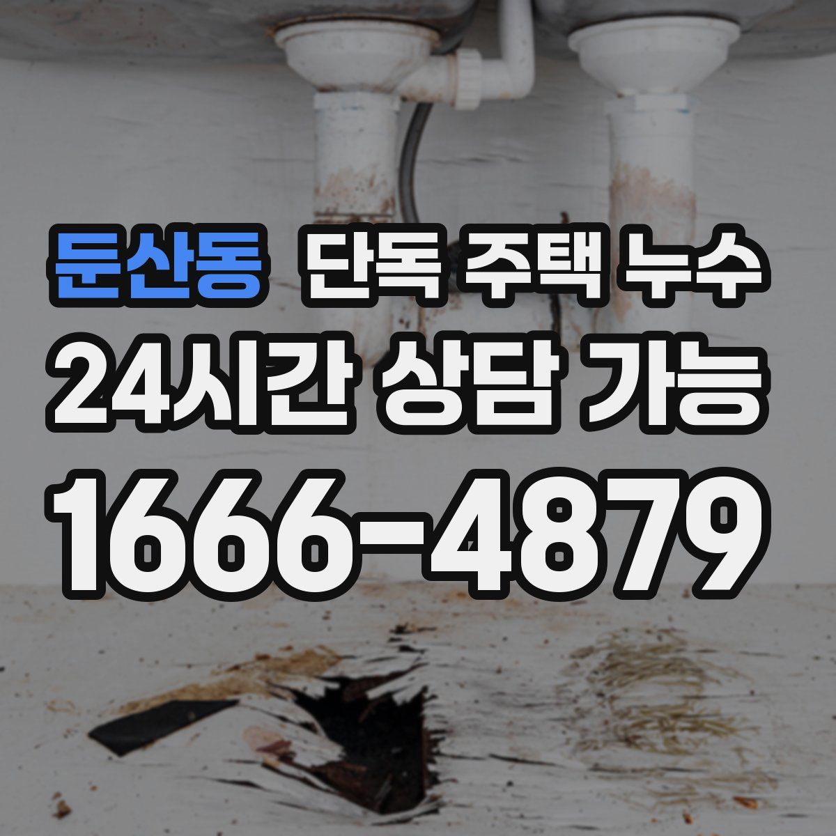 둔산동 단독 주택 누수