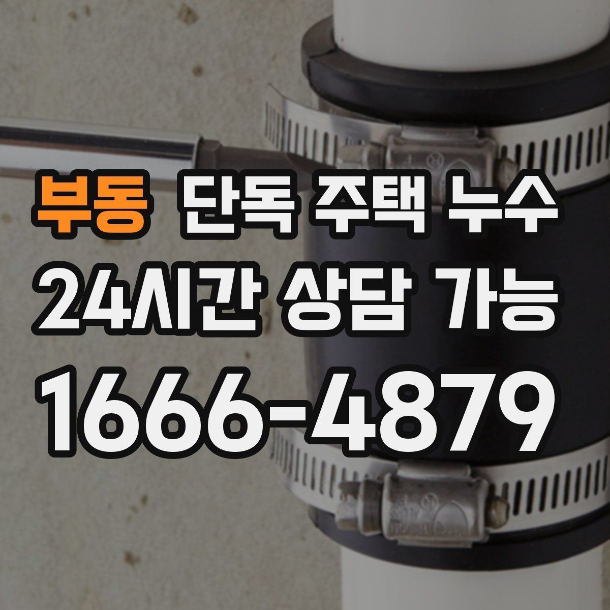 부동 단독 주택 누수 문틀 하단이 젖는다면 의심할 것
