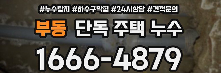 부동 단독 주택 누수