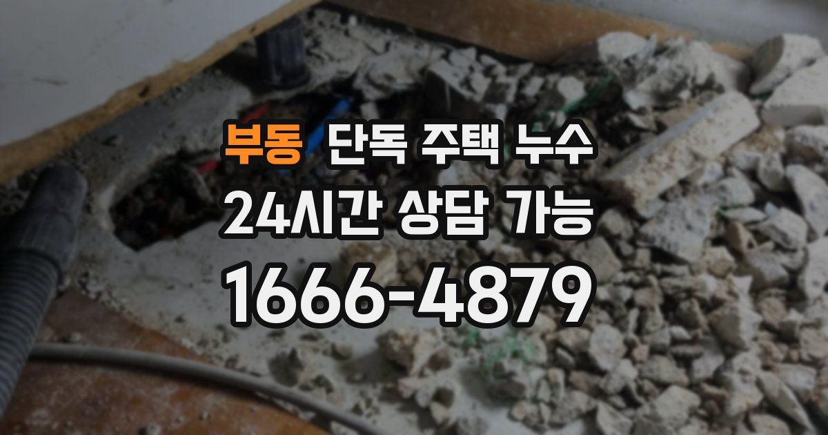 부동 단독 주택 누수