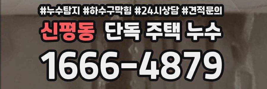 신평동 단독 주택 누수