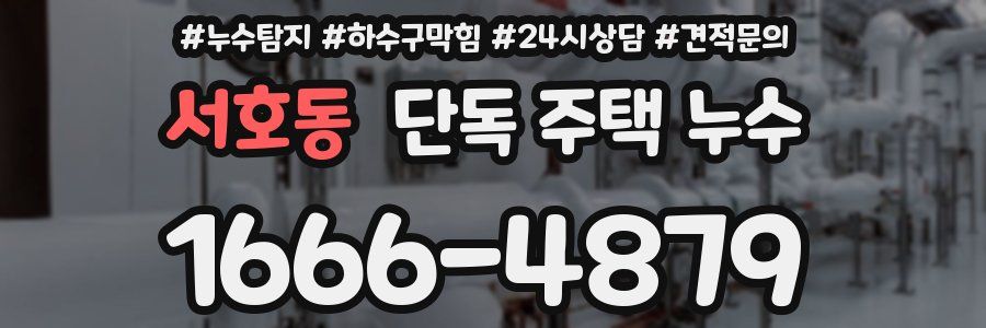 서호동 단독 주택 누수