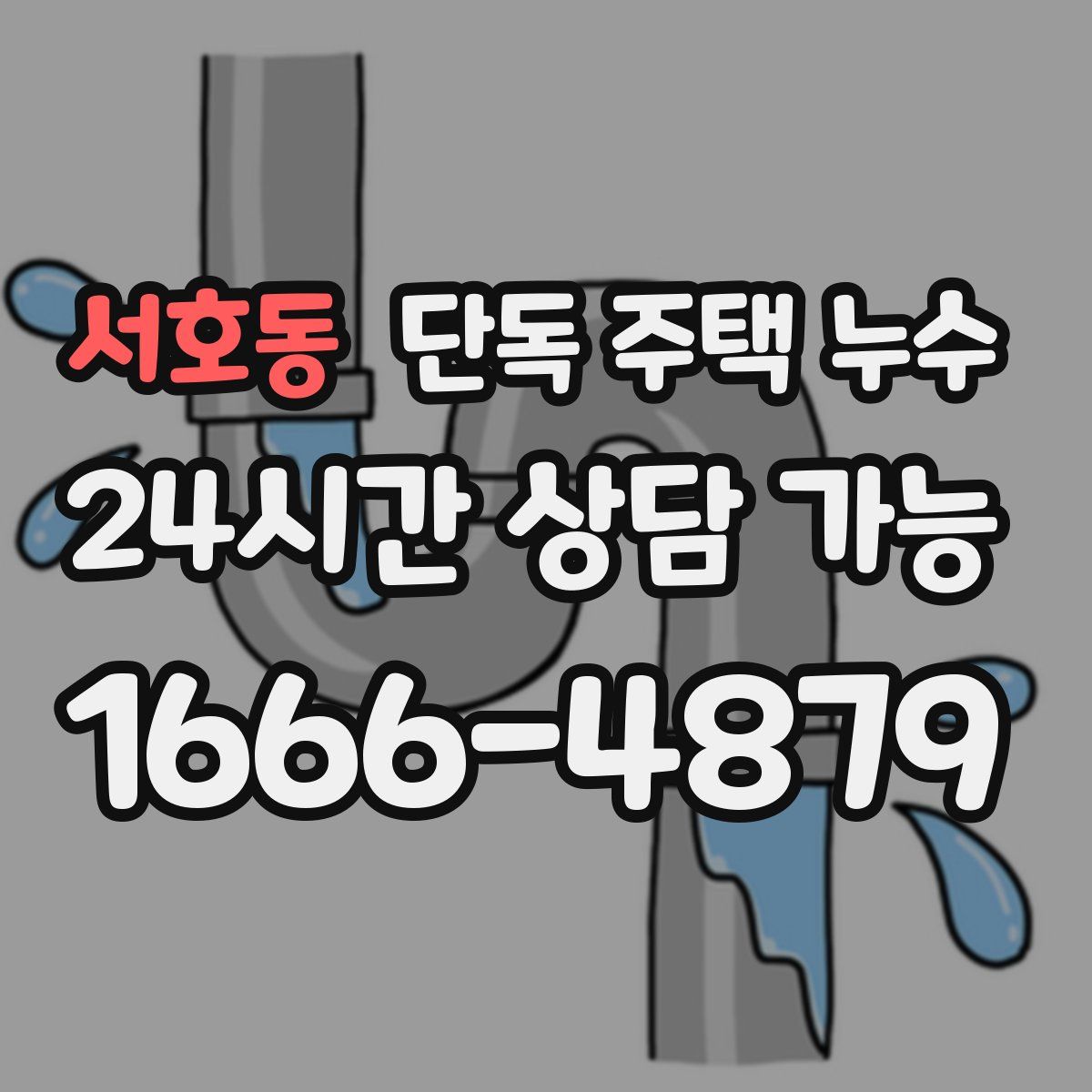 서호동 단독 주택 누수