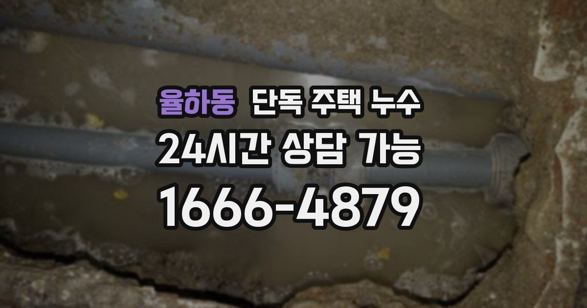 율하동 단독 주택 누수