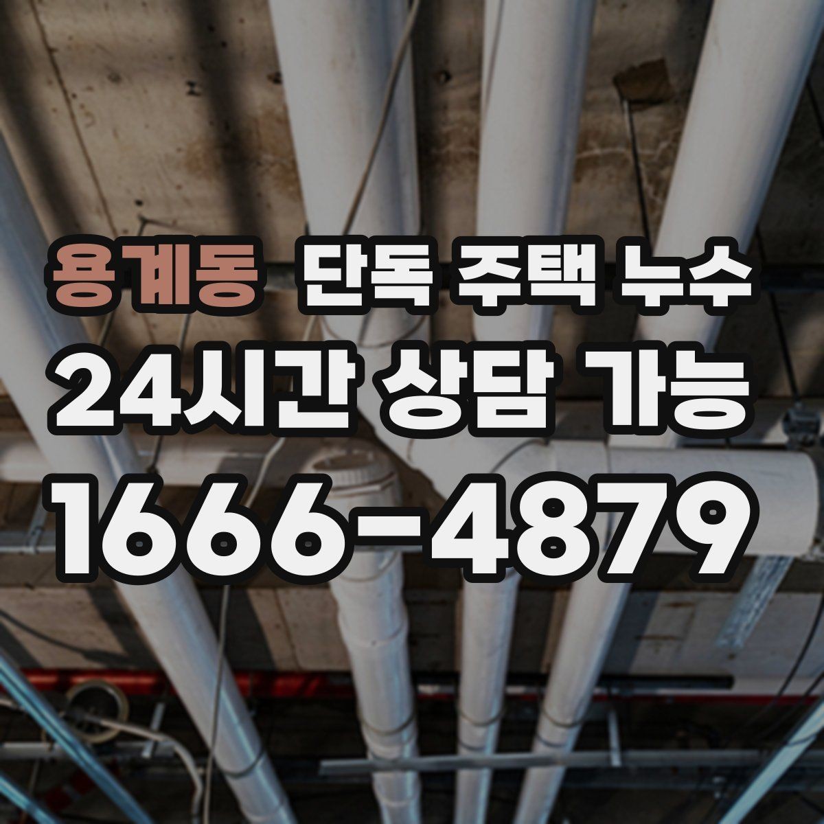 용계동 단독 주택 누수 욕실 문턱 주변 물이 고일 때
