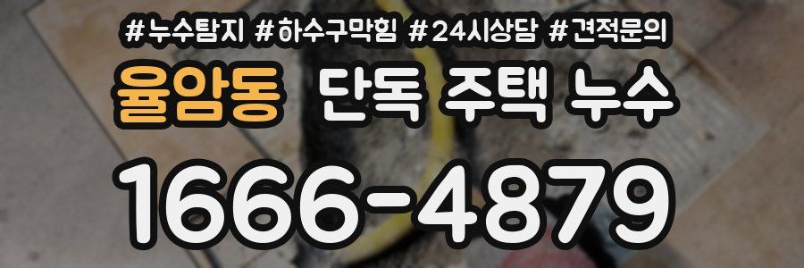 율암동 단독 주택 누수