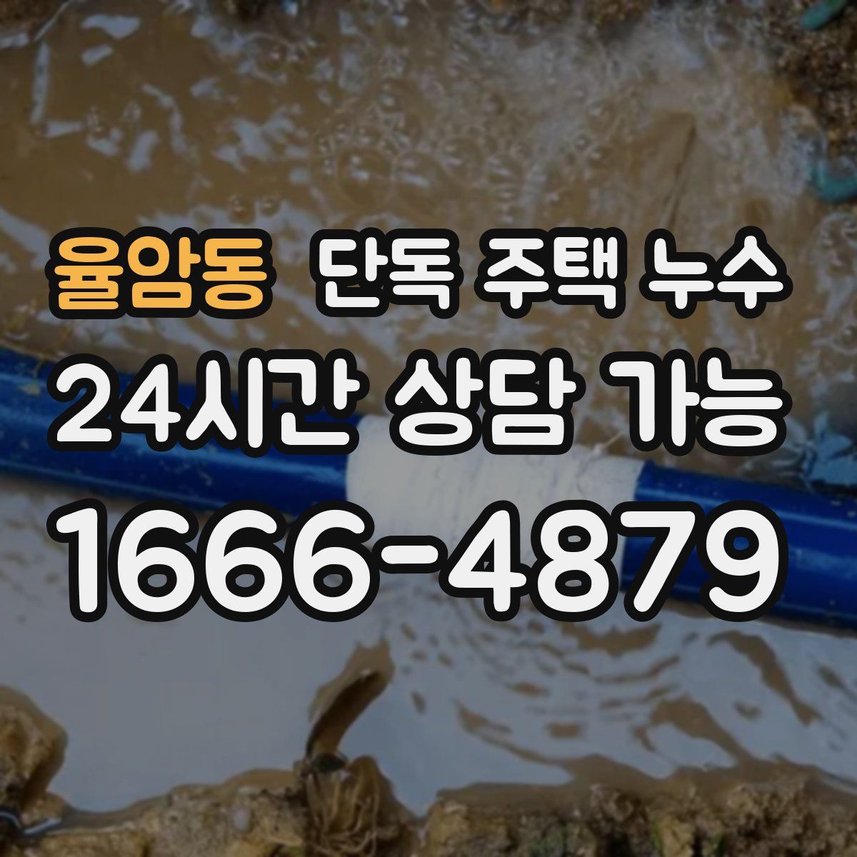 율암동 단독 주택 누수