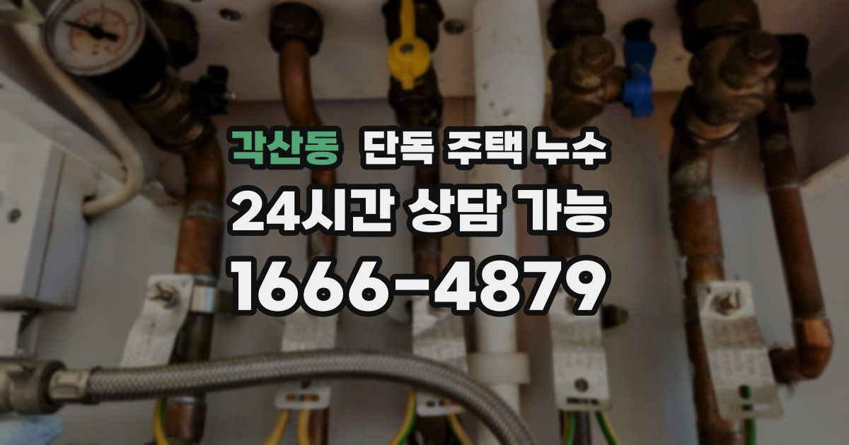 각산동 단독 주택 누수