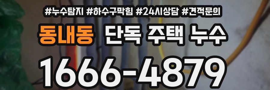 동내동 단독 주택 누수