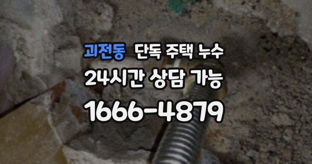 괴전동 단독 주택 누수