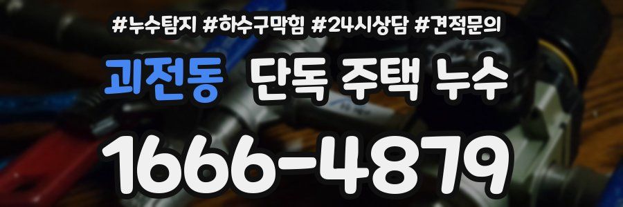 괴전동 단독 주택 누수