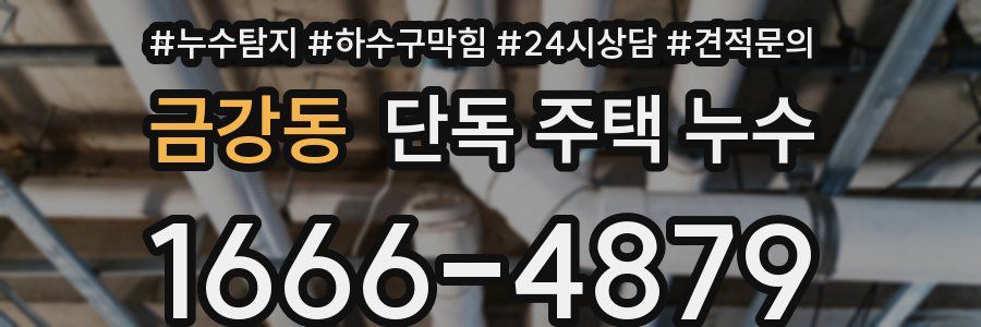 금강동 단독 주택 누수