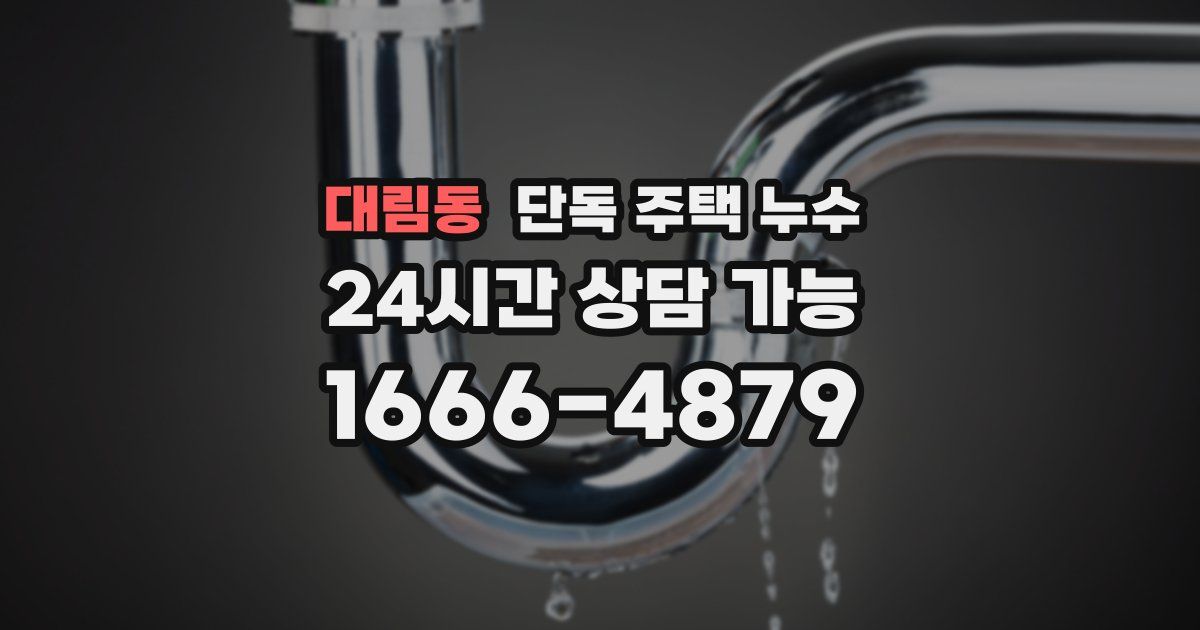 대림동 단독 주택 누수