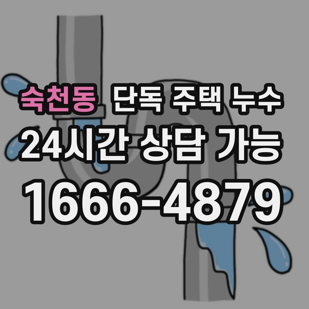 숙천동 단독 주택 누수 곰팡이만 생기고 물자국은 없을 때