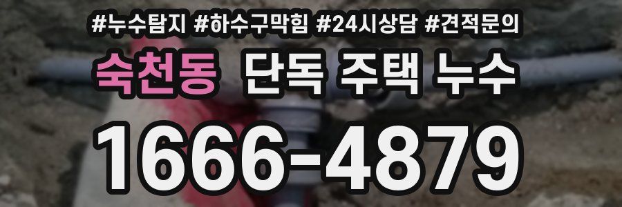 숙천동 단독 주택 누수