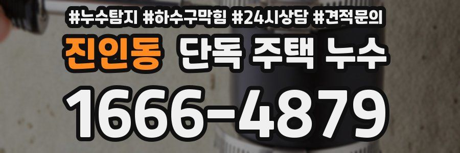 진인동 단독 주택 누수