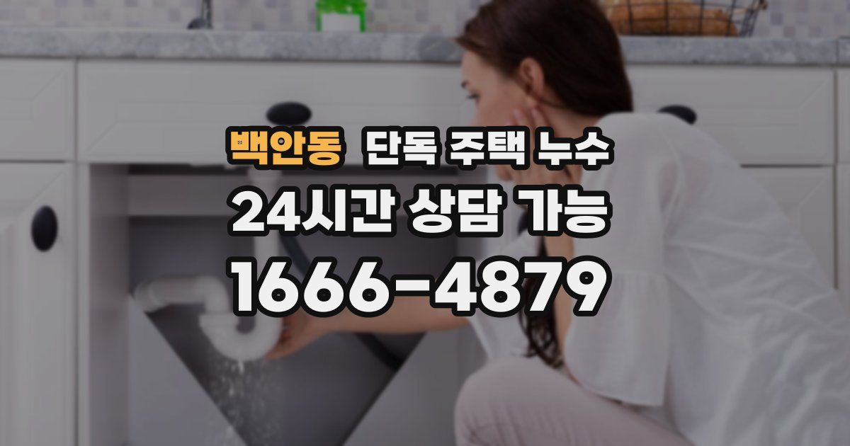 백안동 단독 주택 누수