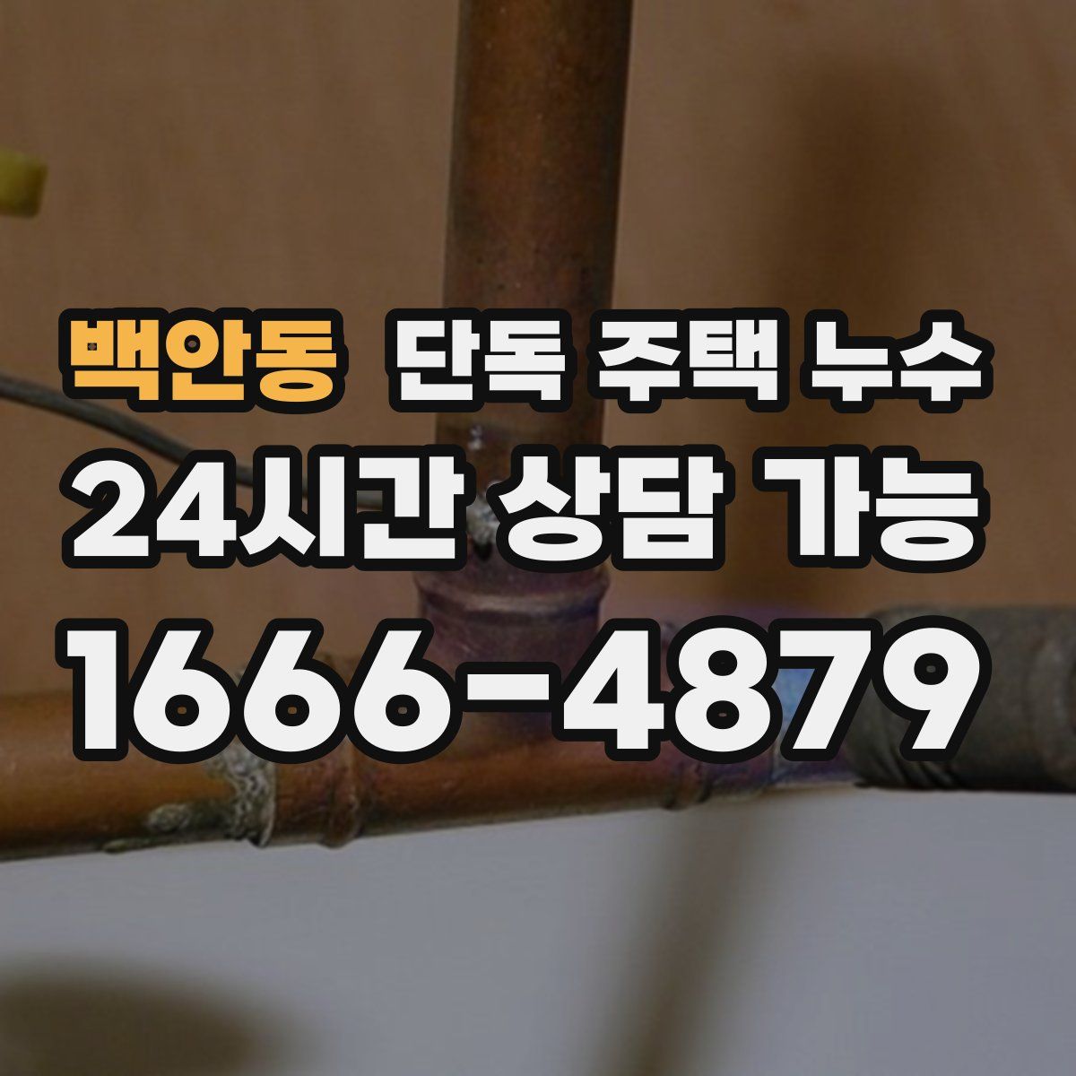 백안동 단독 주택 누수