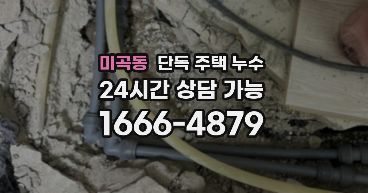 미곡동 단독 주택 누수