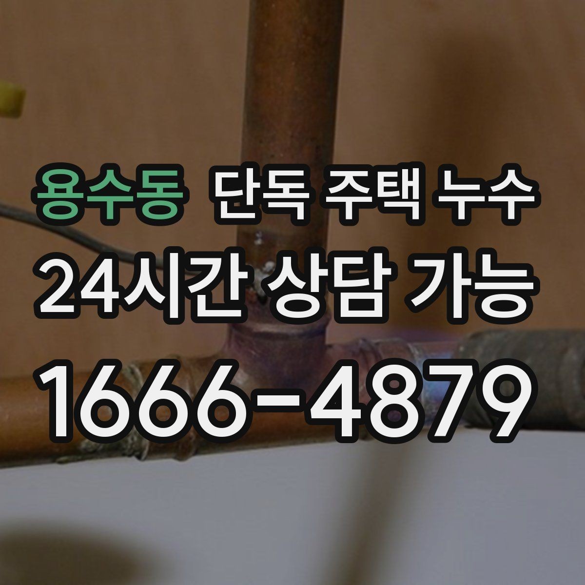 용수동 단독 주택 누수 외벽 마감 줄눈이 벌어졌을 때 신호