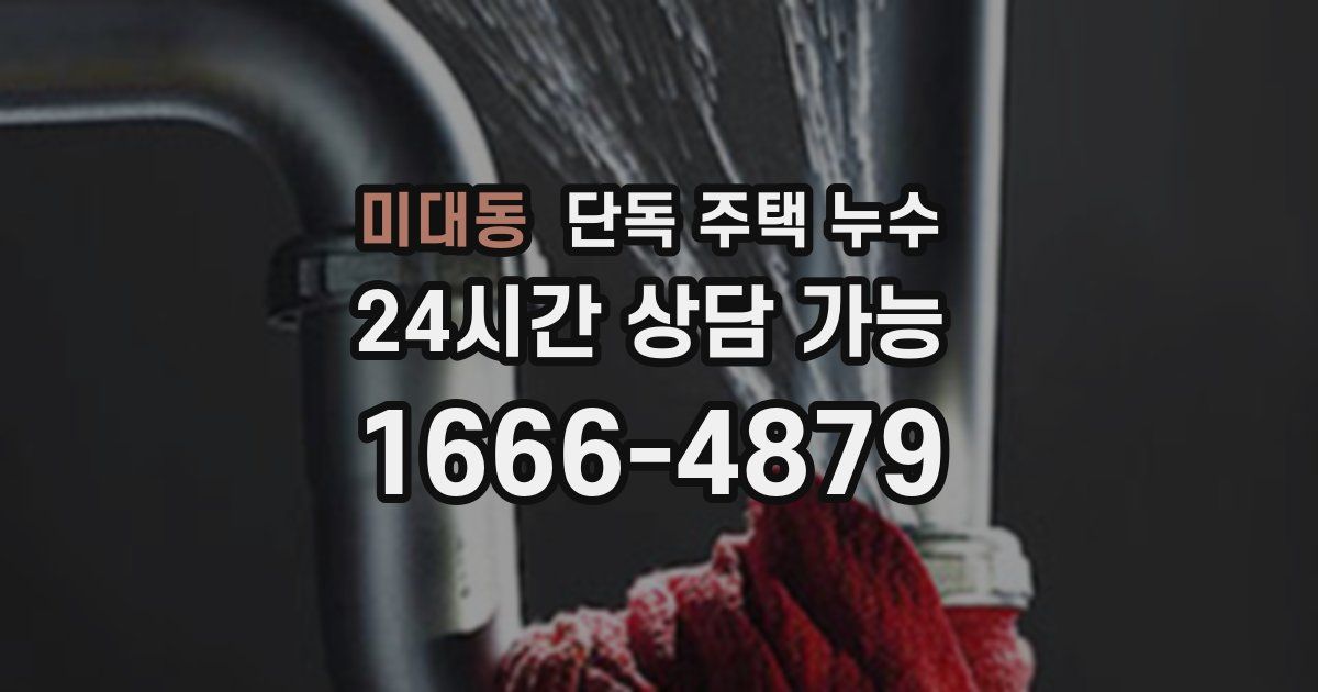 미대동 단독 주택 누수