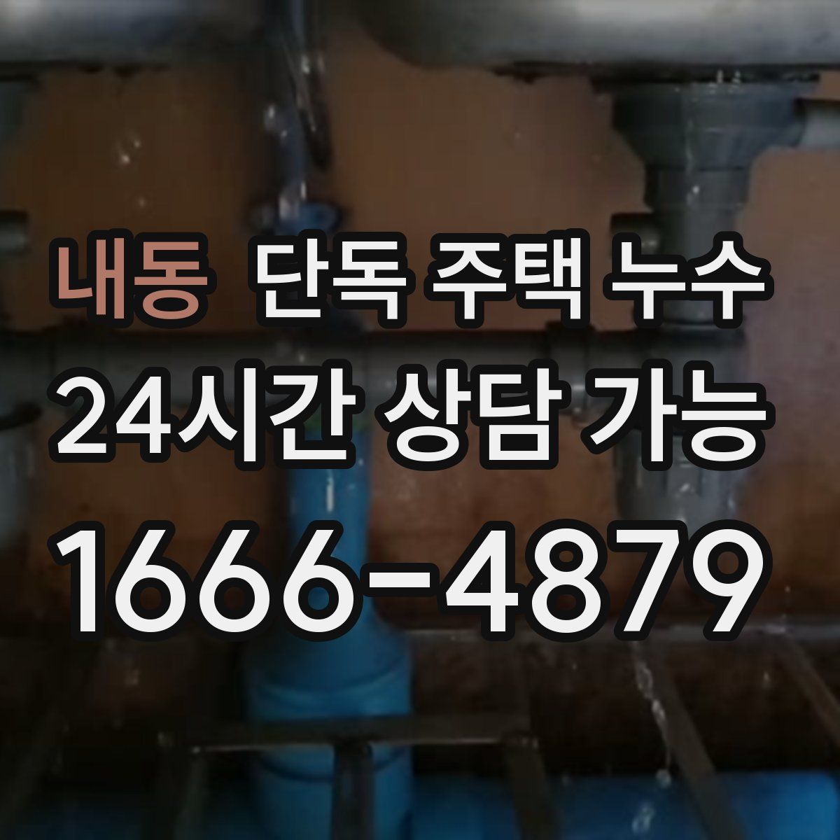 내동 단독 주택 누수