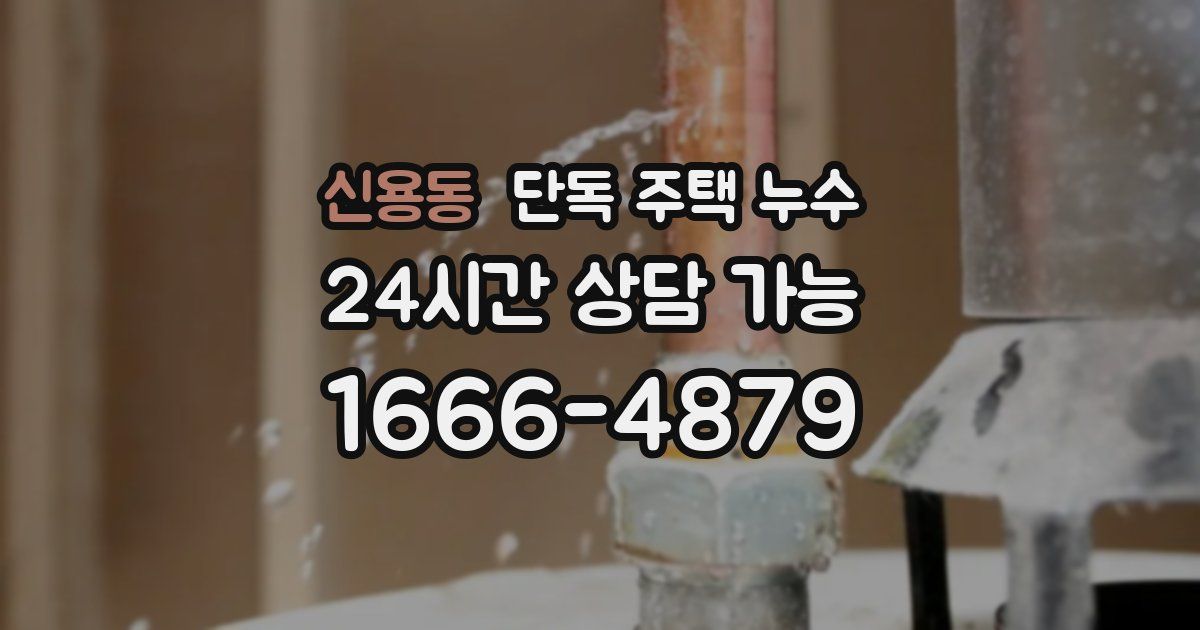 신용동 단독 주택 누수
