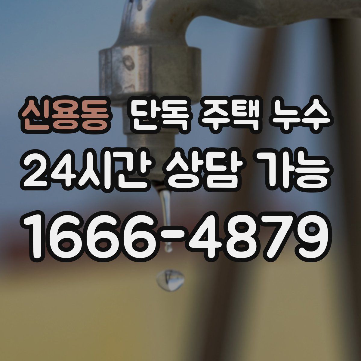 신용동 단독 주택 누수