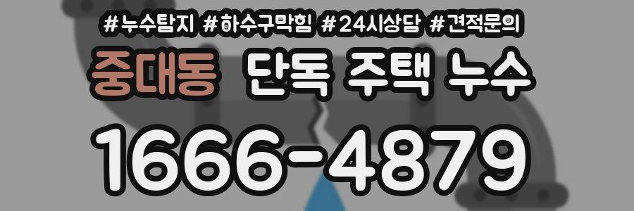 중대동 단독 주택 누수