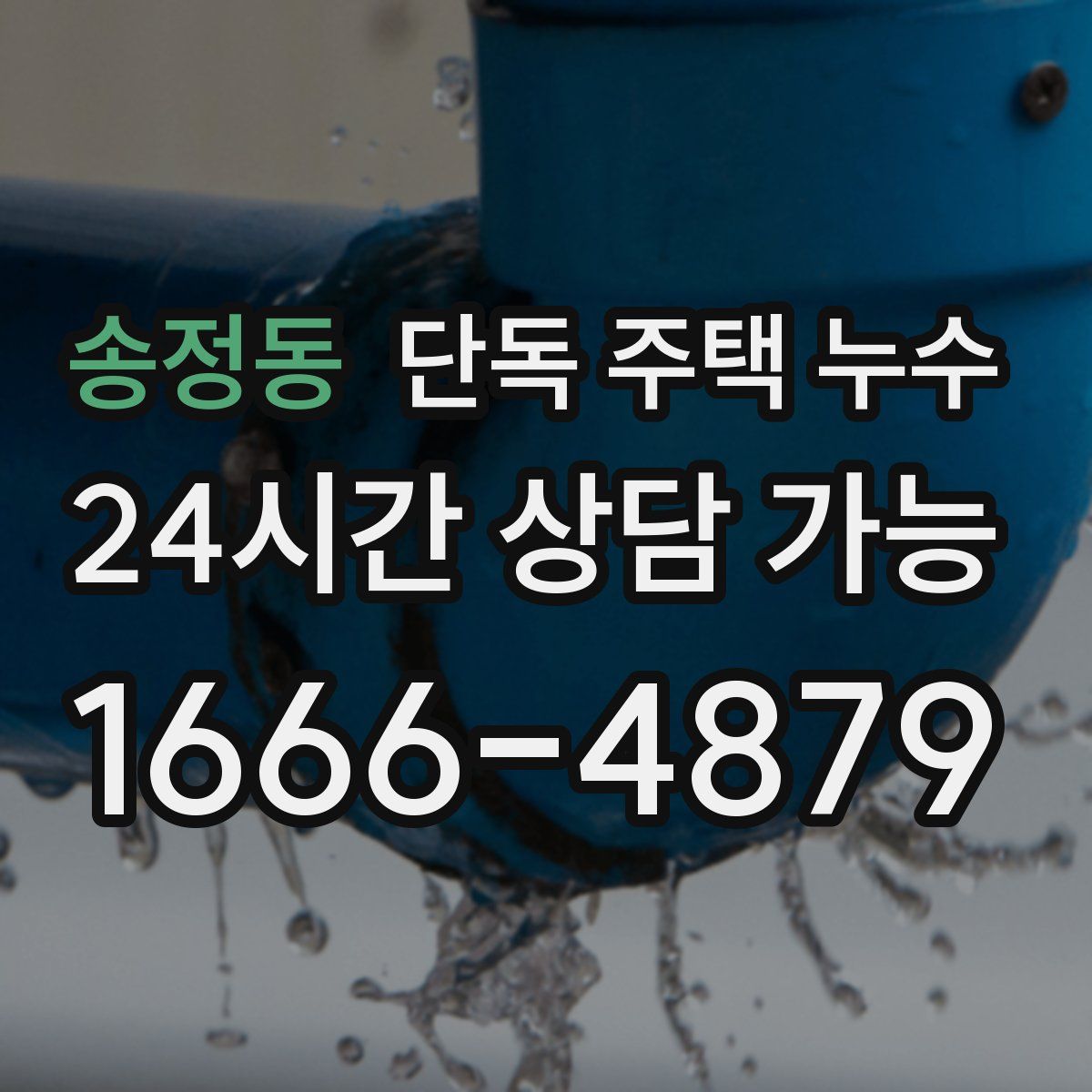 송정동 단독 주택 누수