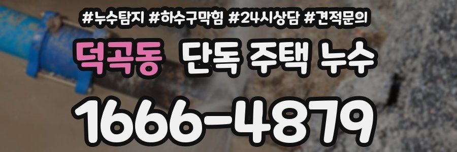 덕곡동 단독 주택 누수