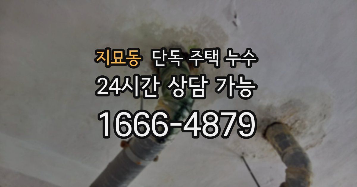 지묘동 단독 주택 누수