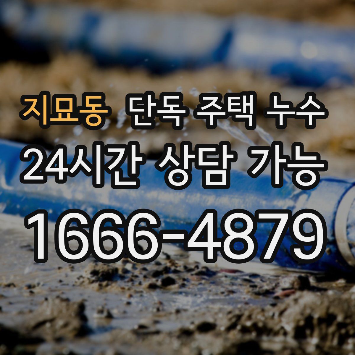 지묘동 단독 주택 누수