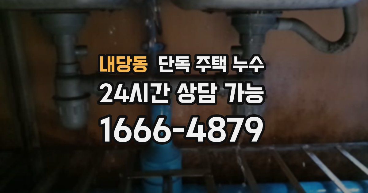 내당동 단독 주택 누수