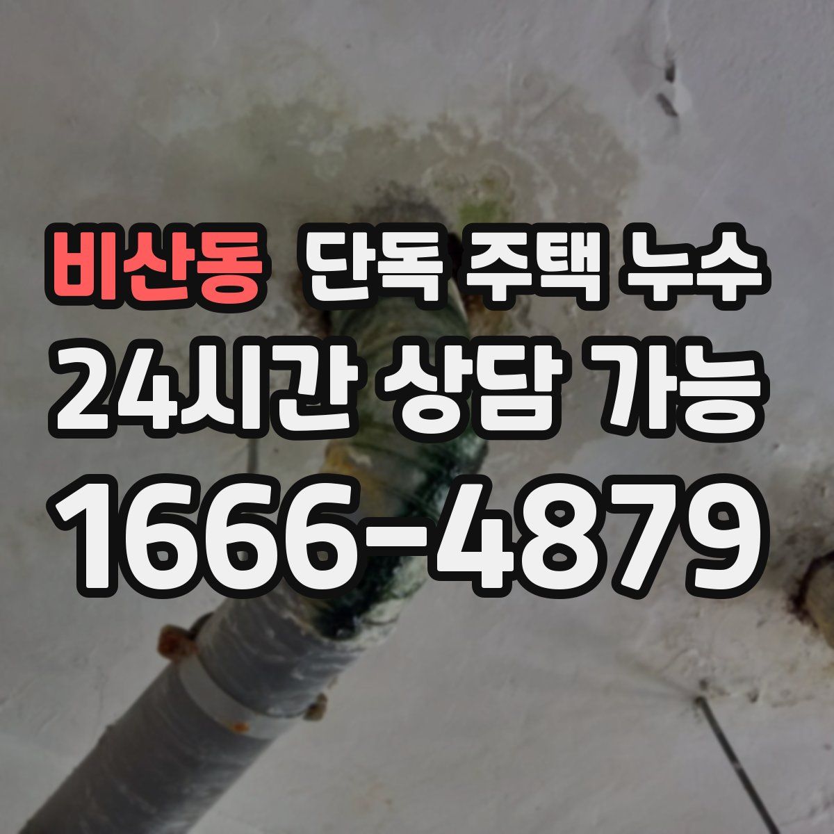 비산동 단독 주택 누수