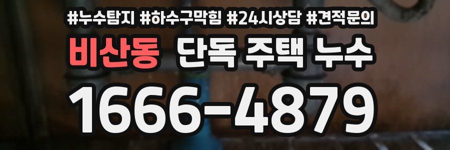 비산동 단독 주택 누수