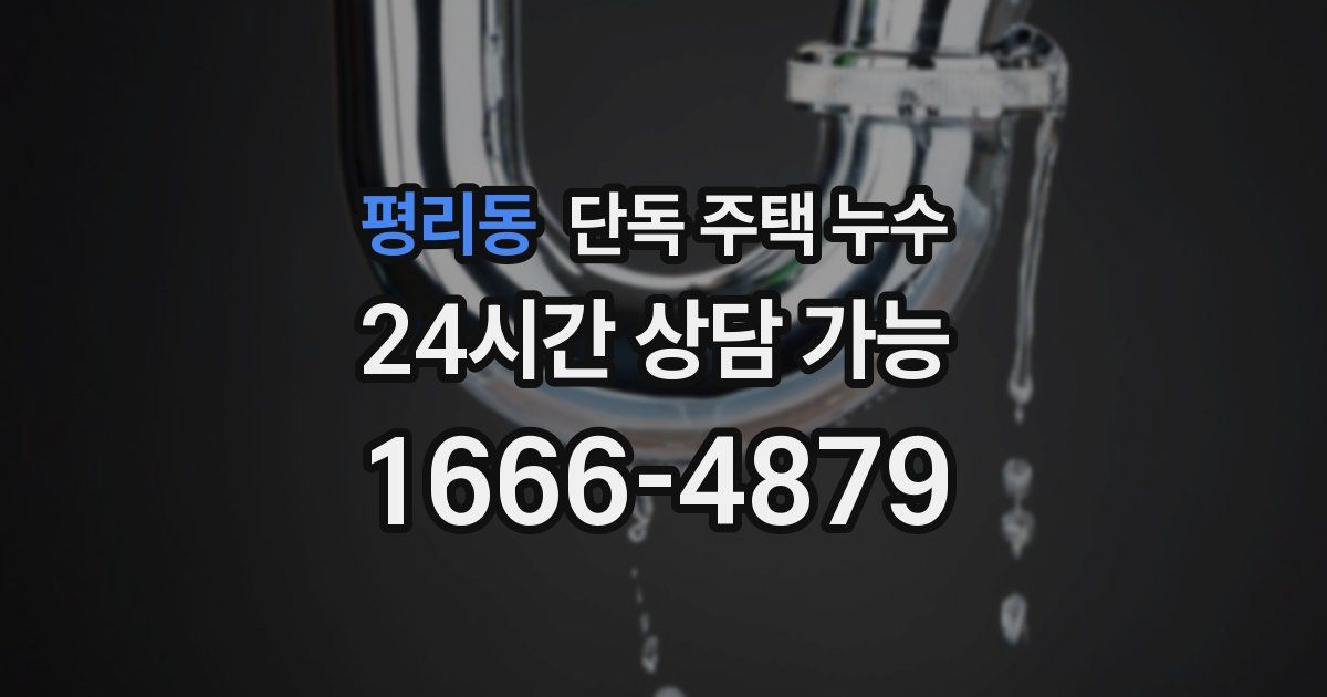평리동 단독 주택 누수