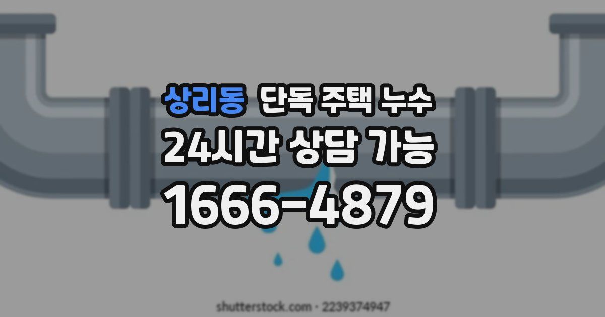 상리동 단독 주택 누수