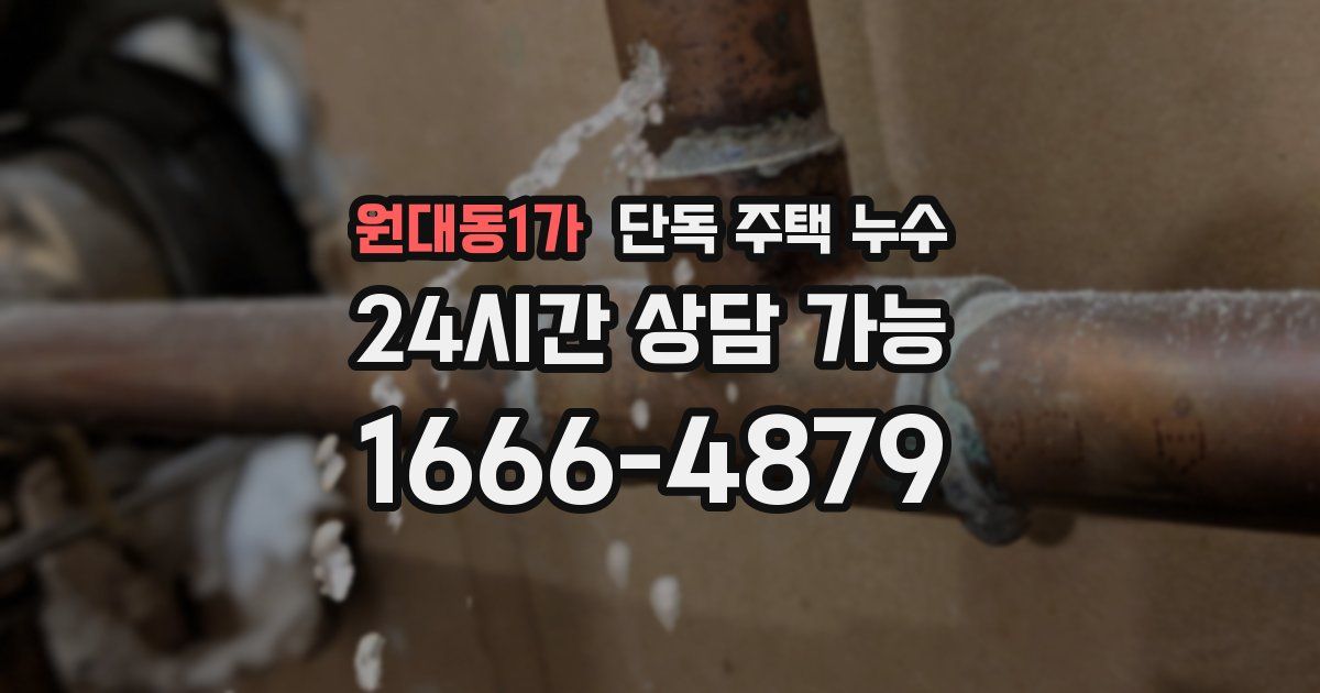 원대동1가 단독 주택 누수