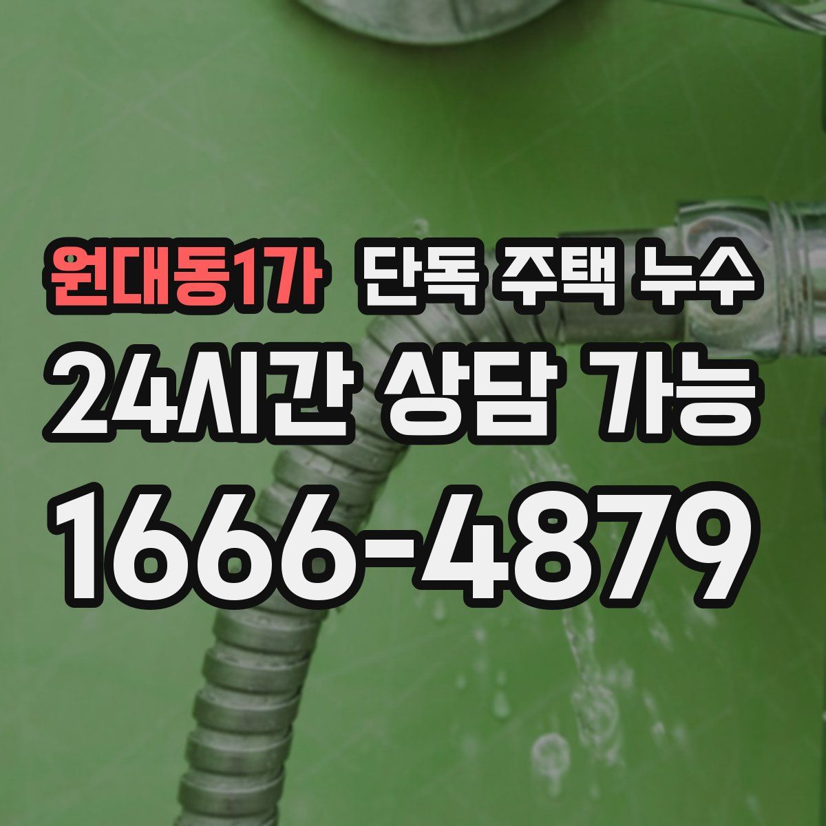 원대동1가 단독 주택 누수