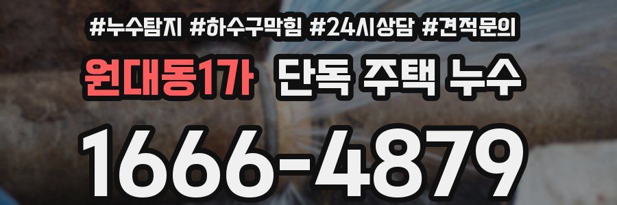 원대동1가 단독 주택 누수