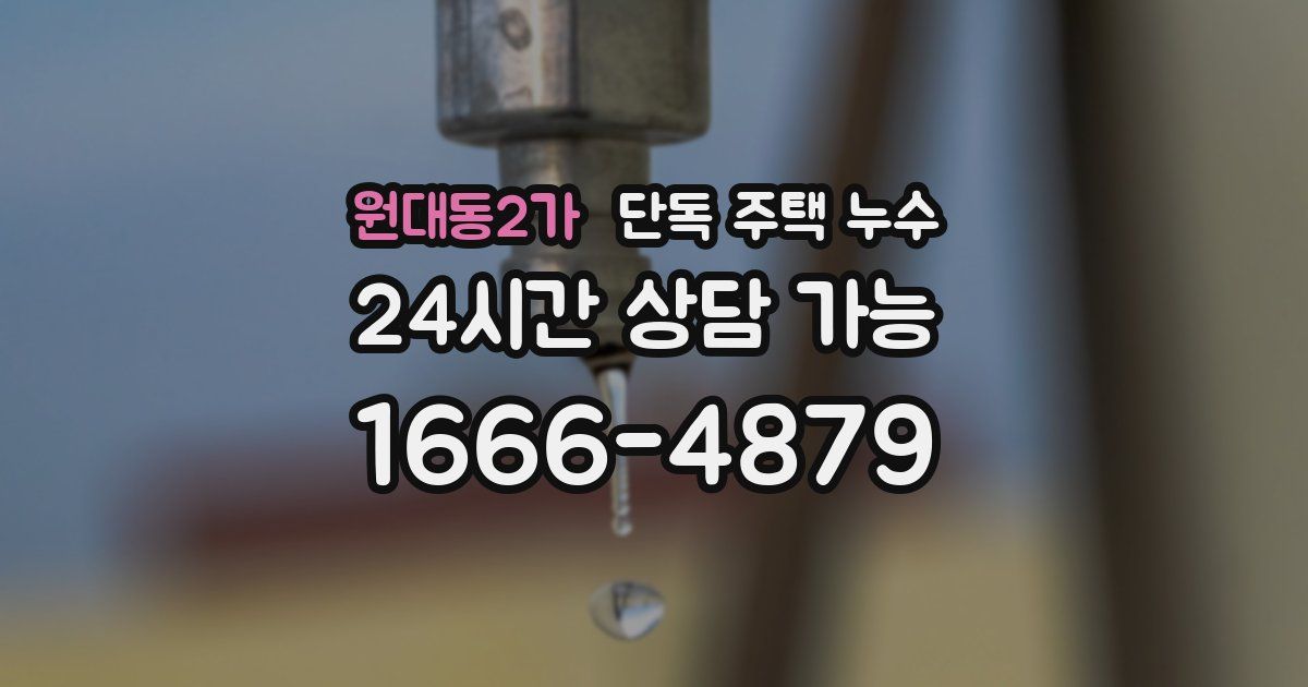 원대동2가 단독 주택 누수