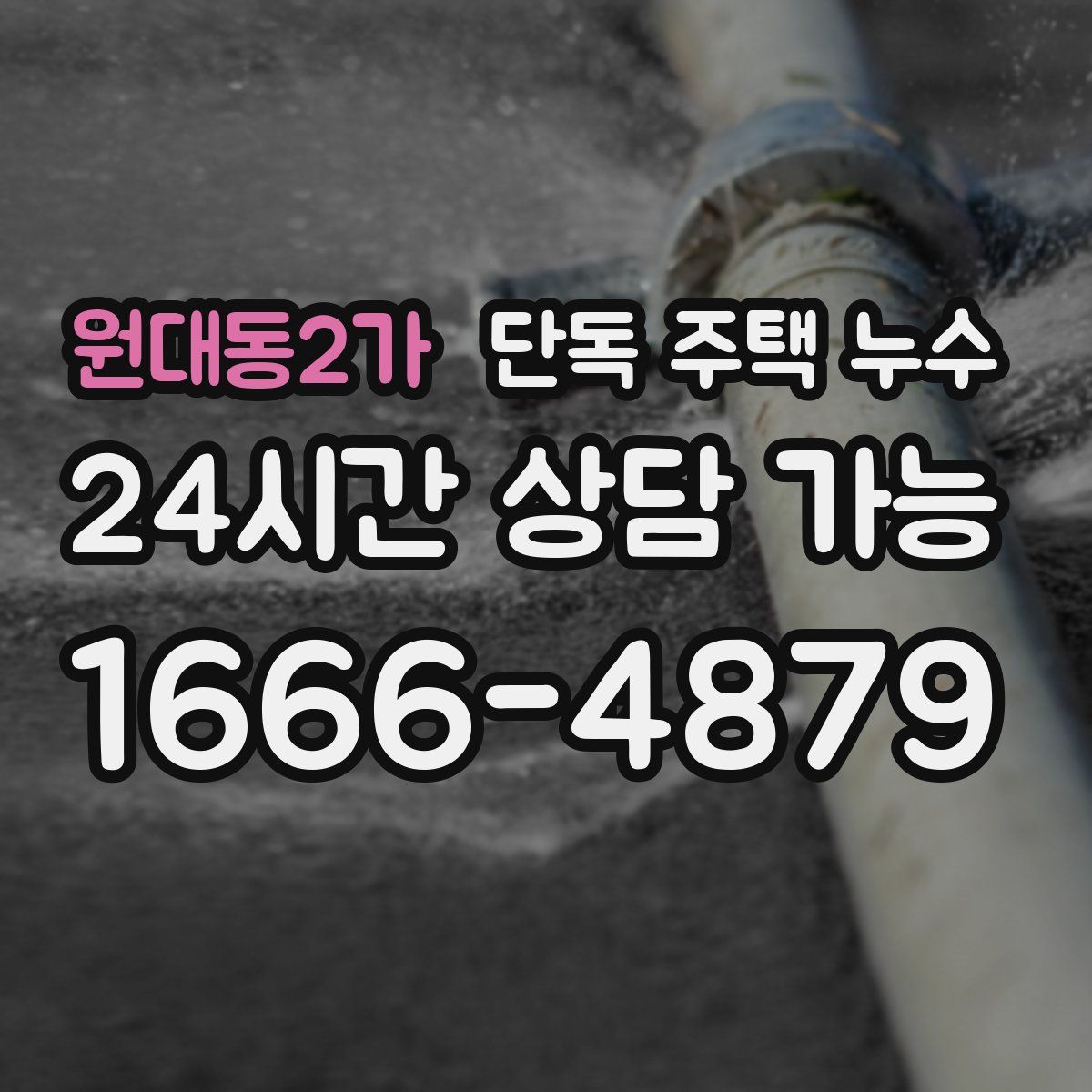 원대동2가 단독 주택 누수