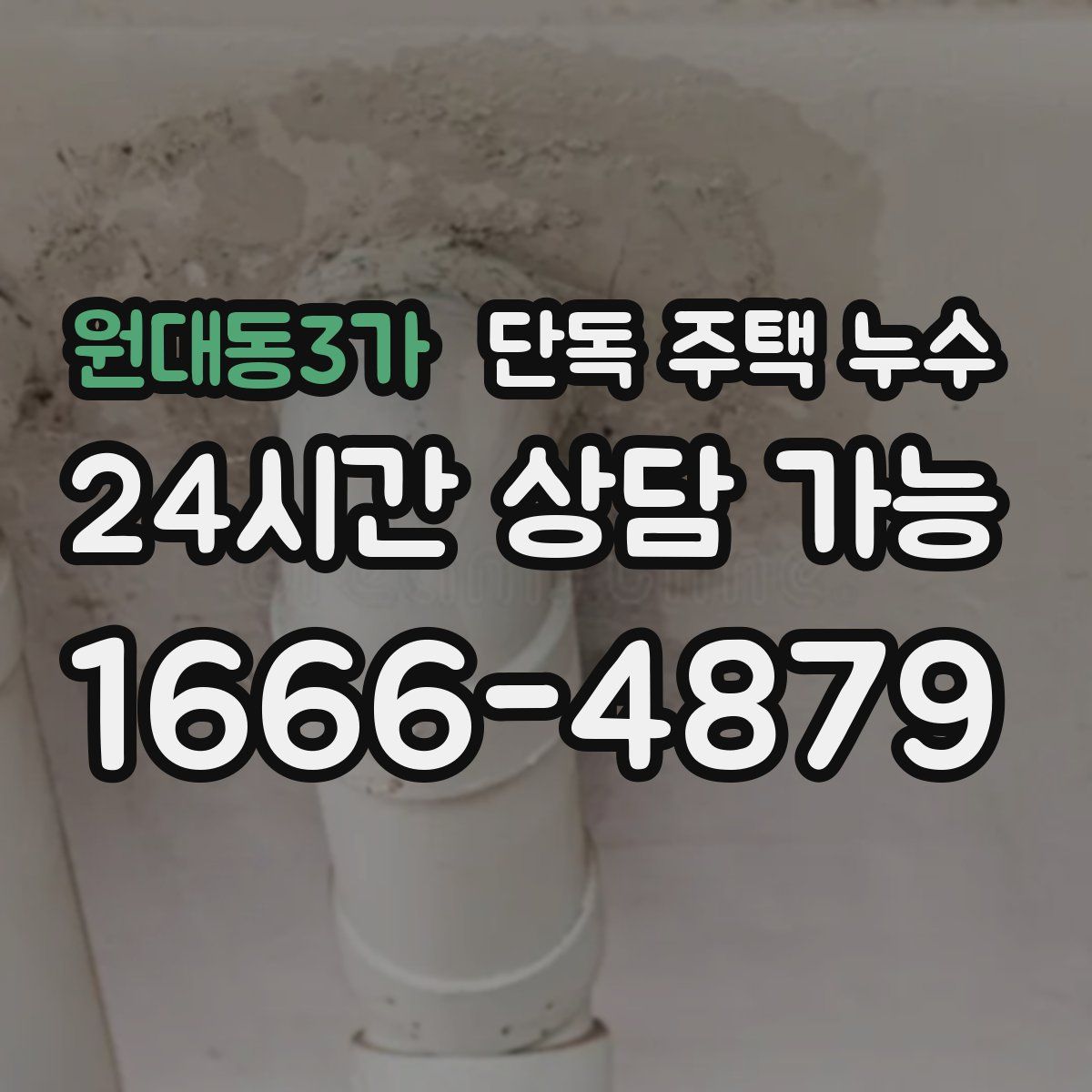 원대동3가 단독 주택 누수