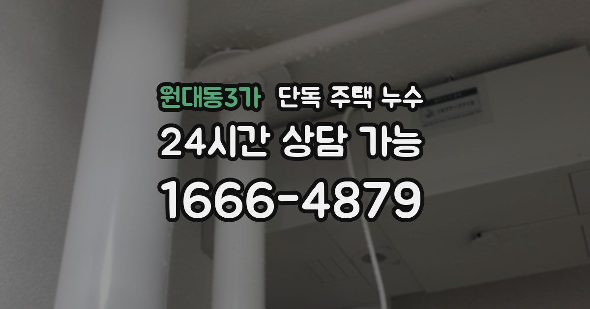 원대동3가 단독 주택 누수