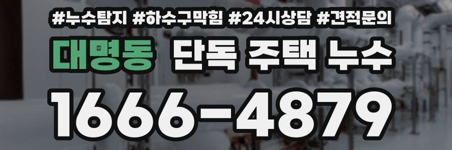 대명동 단독 주택 누수