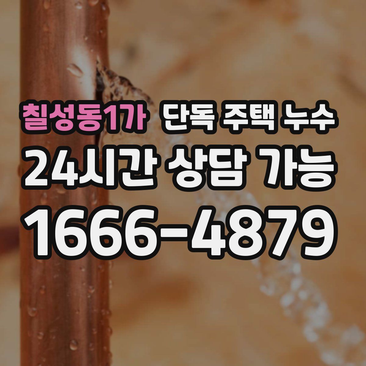 칠성동1가 단독 주택 누수